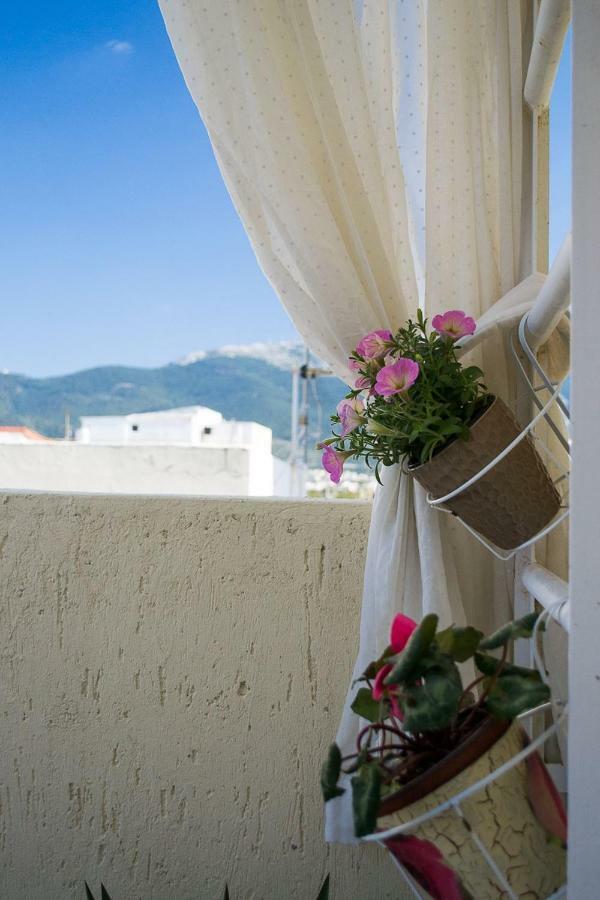 אתונה Inspiration Guestroom With Amazing Roof Garden מראה חיצוני תמונה